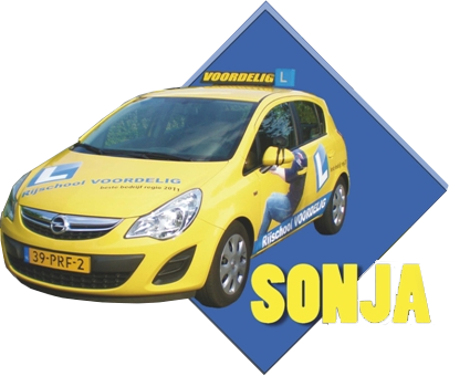 Rijschool Voordelig logo